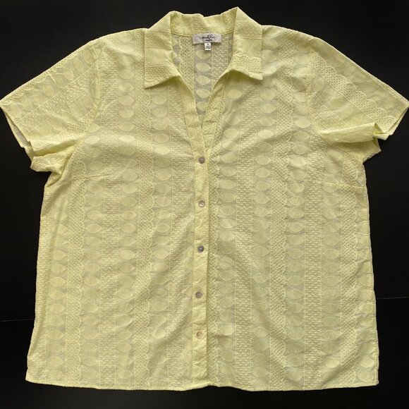 Moa Moa Button Front Textured Blouse 1X Yellow Short Sleeve 100% Cotton Top - Picture 1 of 6